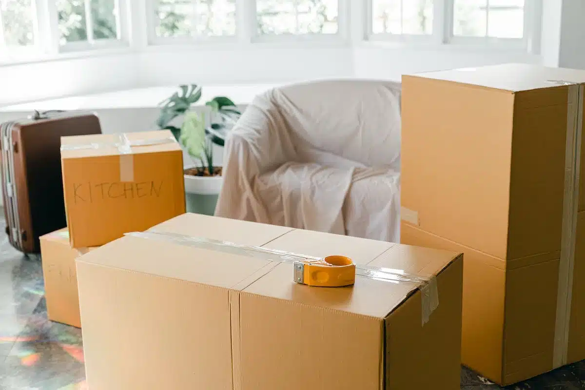 La maison en carton : une solution innovante pour réduire son empreinte carbone